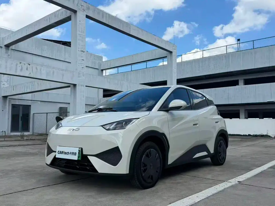 BYD Seagull Smart Drive Edition 305km Vitality Version 2025