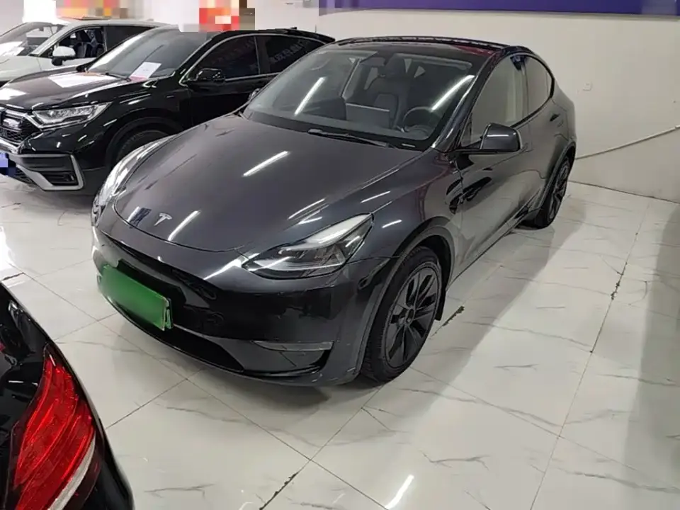 Tesla Model Y Long Range AWD 2025