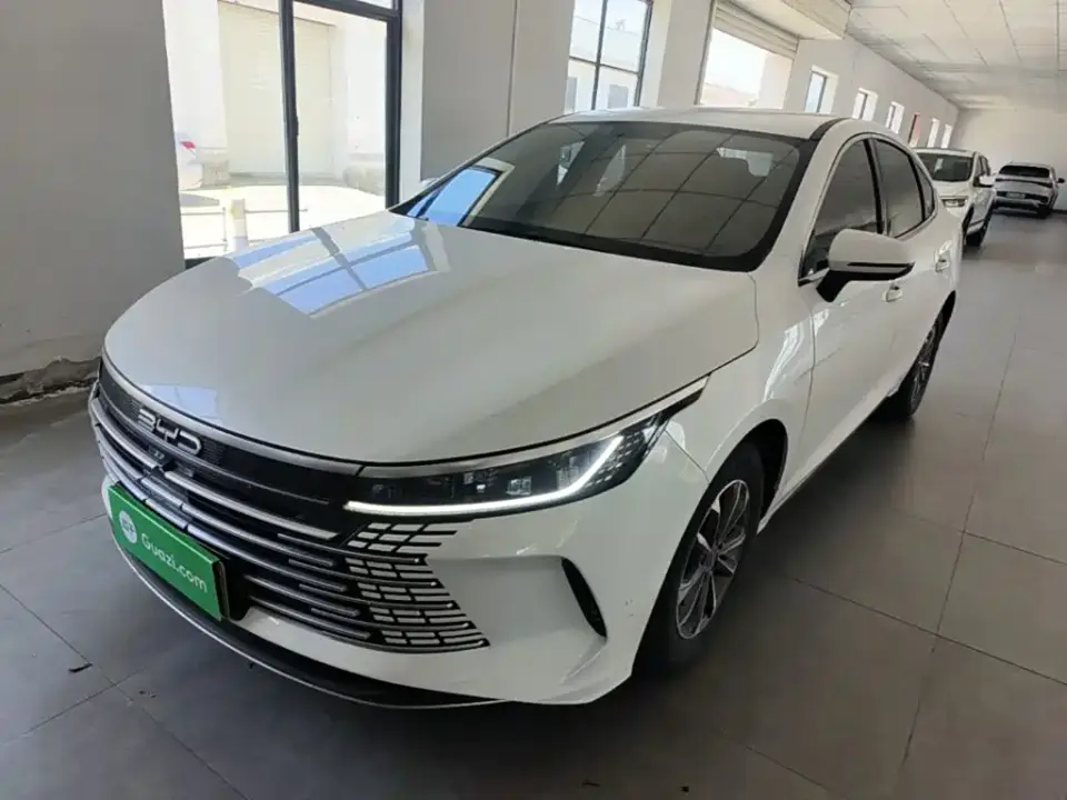 BYD Destroyer 05 Glory Edition DM-i 55KM Luxury 2024