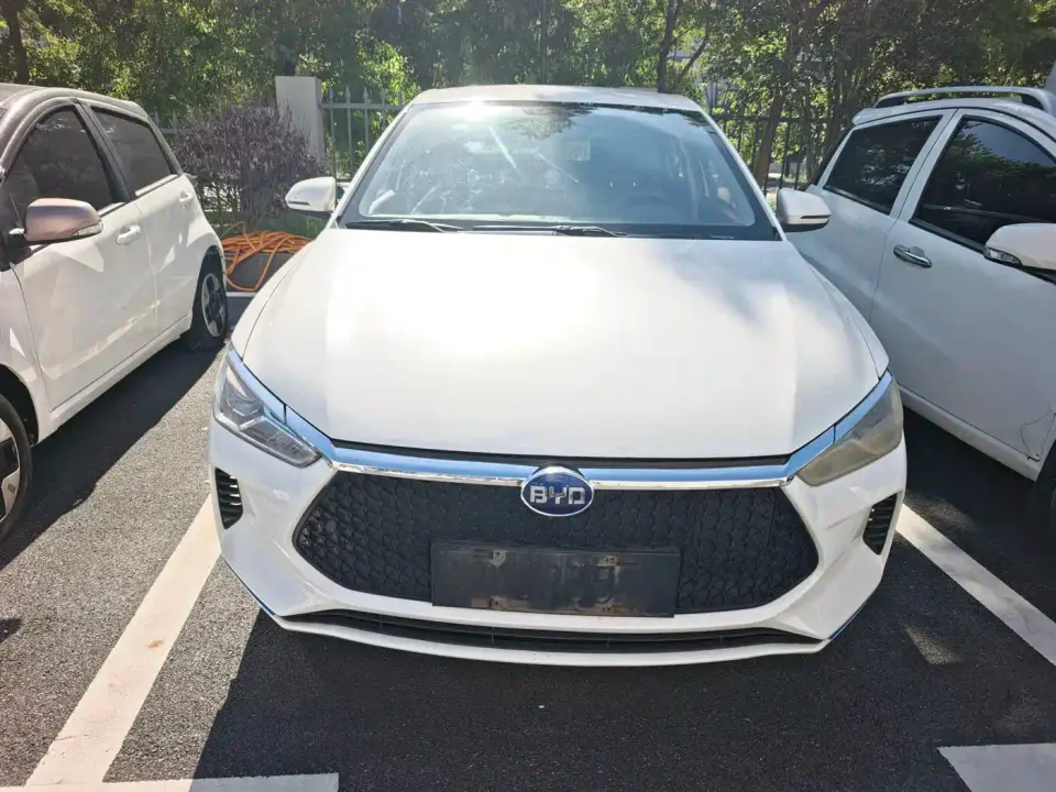 BYD e2 Luxury Edition 2021