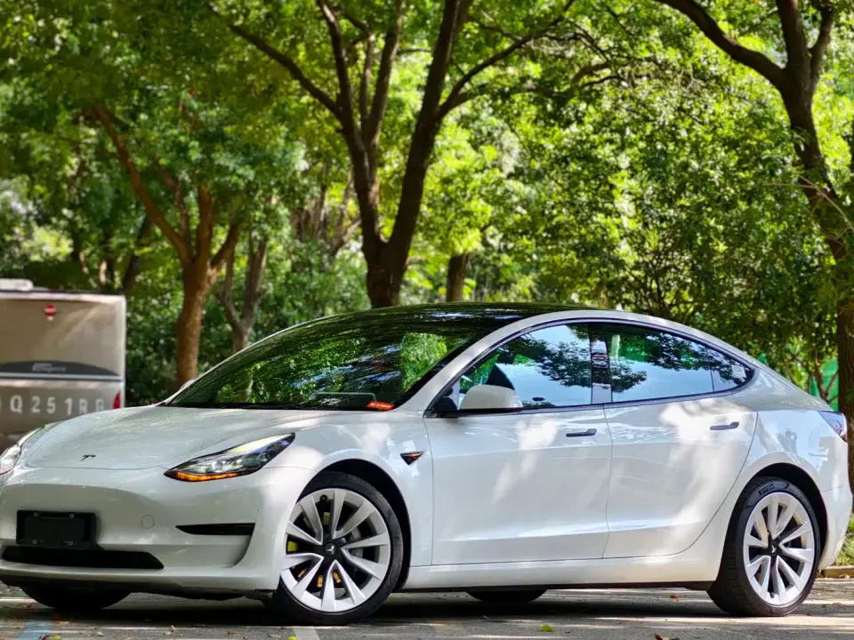 Tesla Model 3 Standard Range Rear-Wheel Drive Upgrade 2021