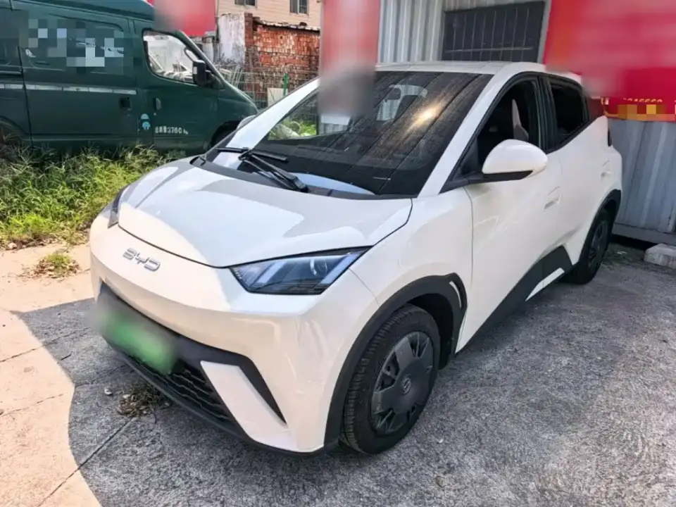 BYD Seagull Vitality Edition 2024
