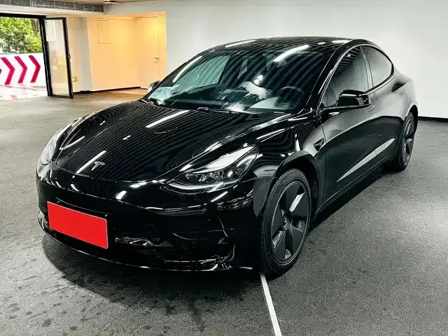 Tesla Model 3 Model Rear-Wheel Drive Version 2022
