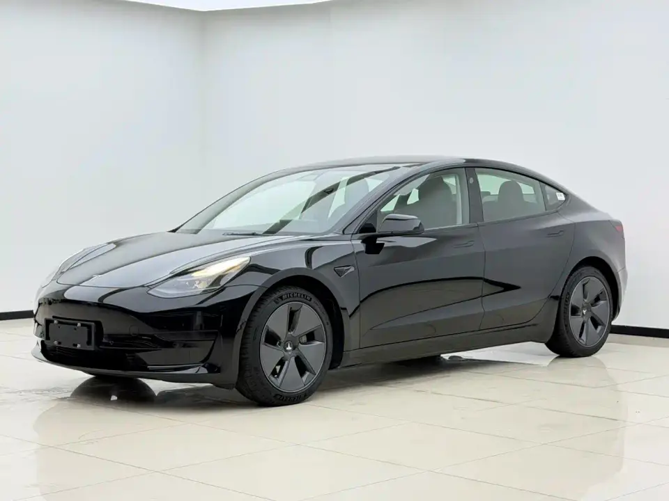 Tesla Model 3 Facelift Standard Range RWD Upgrade 3D1 2021