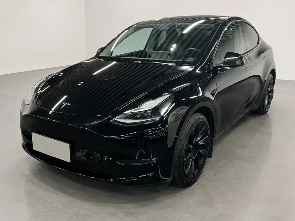 Tesla Model Y Standard Range Rear-Wheel Drive 2021