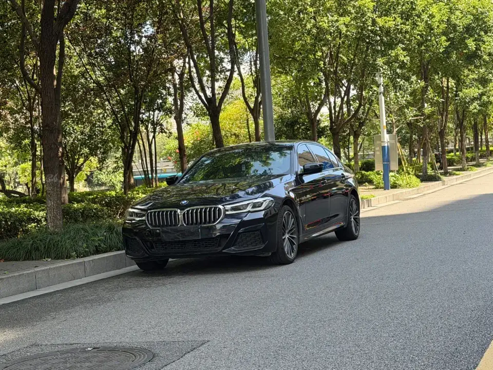 BMW 5 Series 530Li Leading M Sport Package 2021