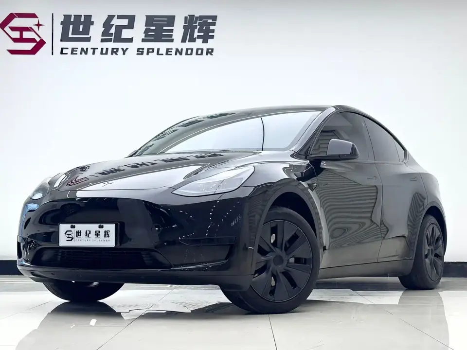 Tesla Model Y Rear-Wheel Drive Edition 2024