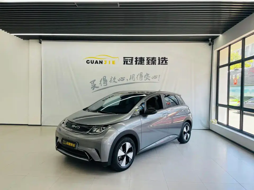 BYD Dolphin 420km Fashion Edition 2023