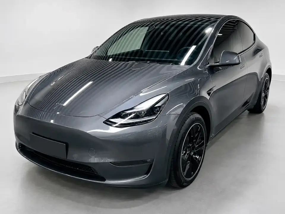 Tesla Model Y Standard Range Rear-Wheel Drive 2021