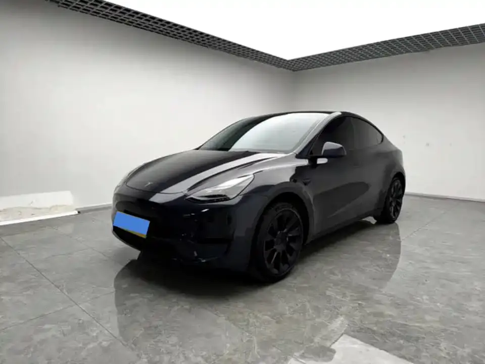 Tesla Model Y Rear-Wheel Drive Version 2024