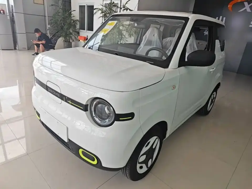 Geely Galaxy Panda Panda mini 210km Vitality Bear 2026
