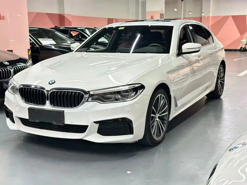 BMW 5 Series 530Li Leading M Sport Package 2020