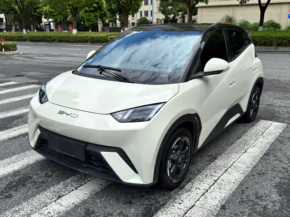 BYD Seagull Freedom Edition 2024