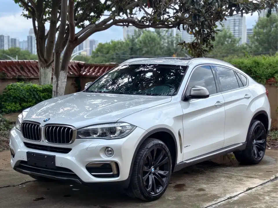 BMW X6 xDrive35i Luxury Model 2019