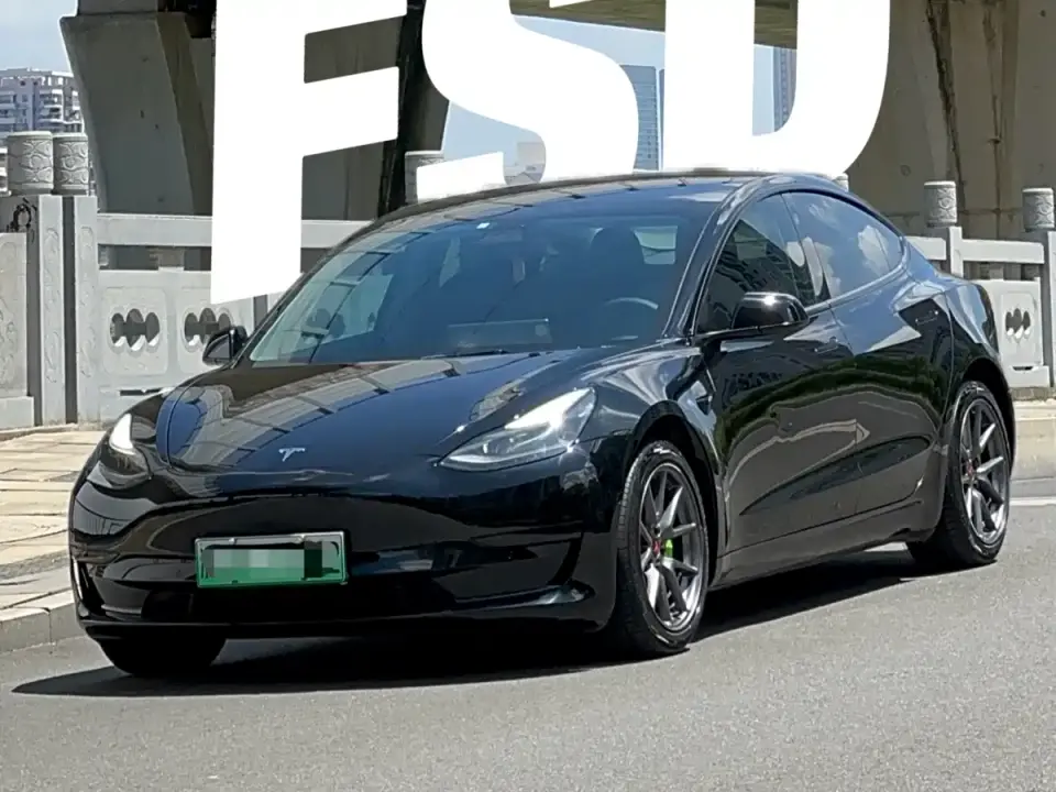 Tesla Model 3 Facelift Standard Range RWD Upgrade 3D1 2021