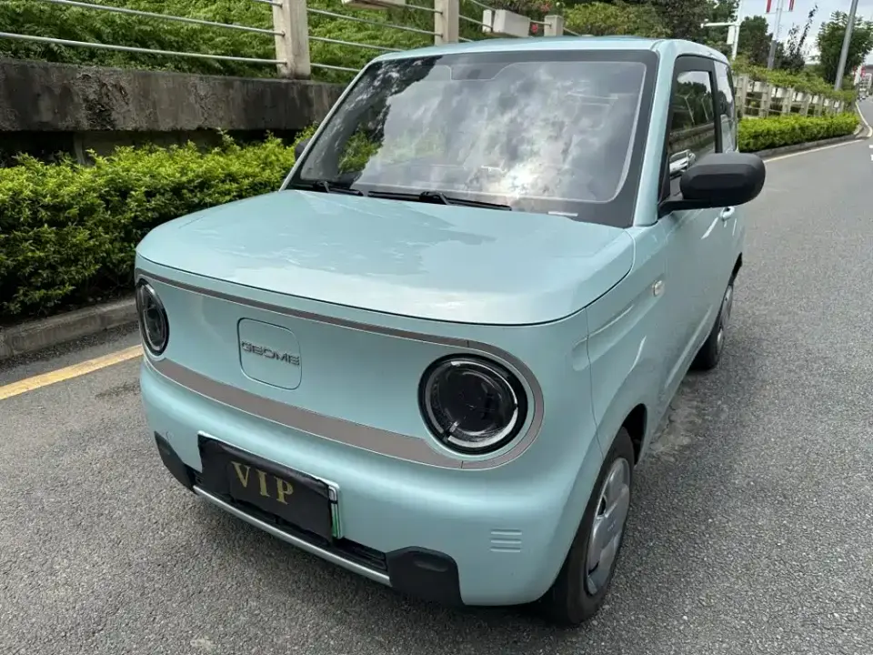 Geely Galaxy Panda Panda Mini 200km Endurance Bear 2023