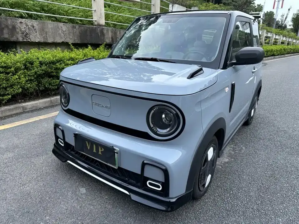 Geely Galaxy Panda Model Year 210km Panda Kart 2025