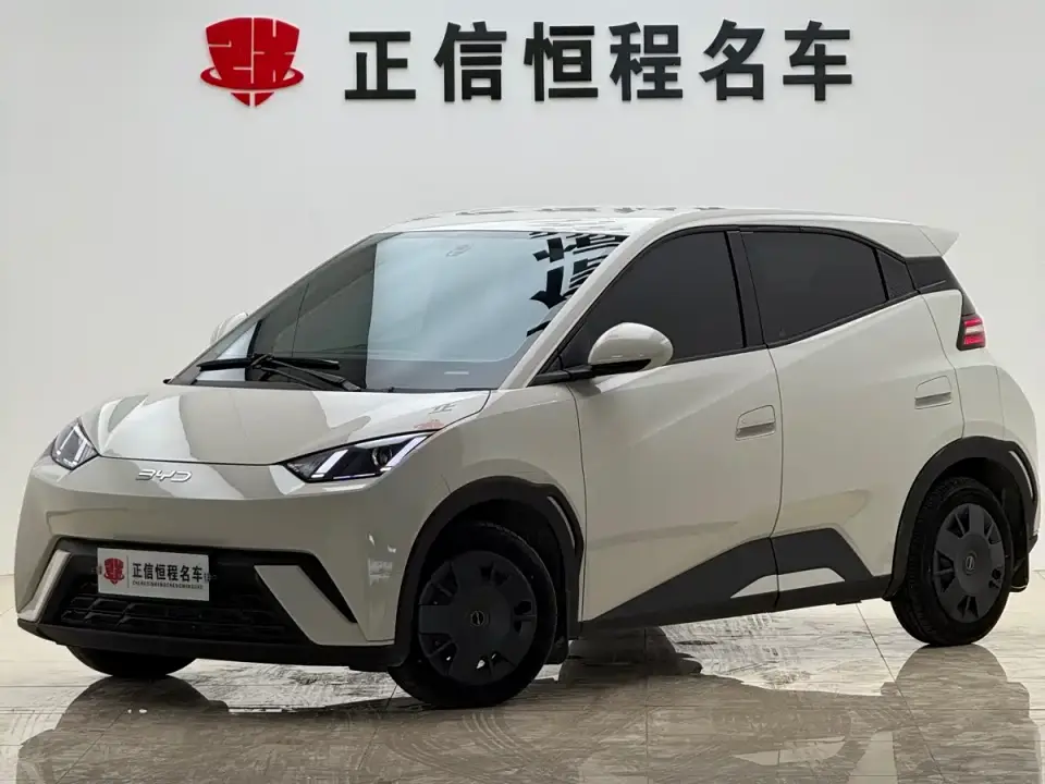 BYD Seagull Freedom Edition 2024
