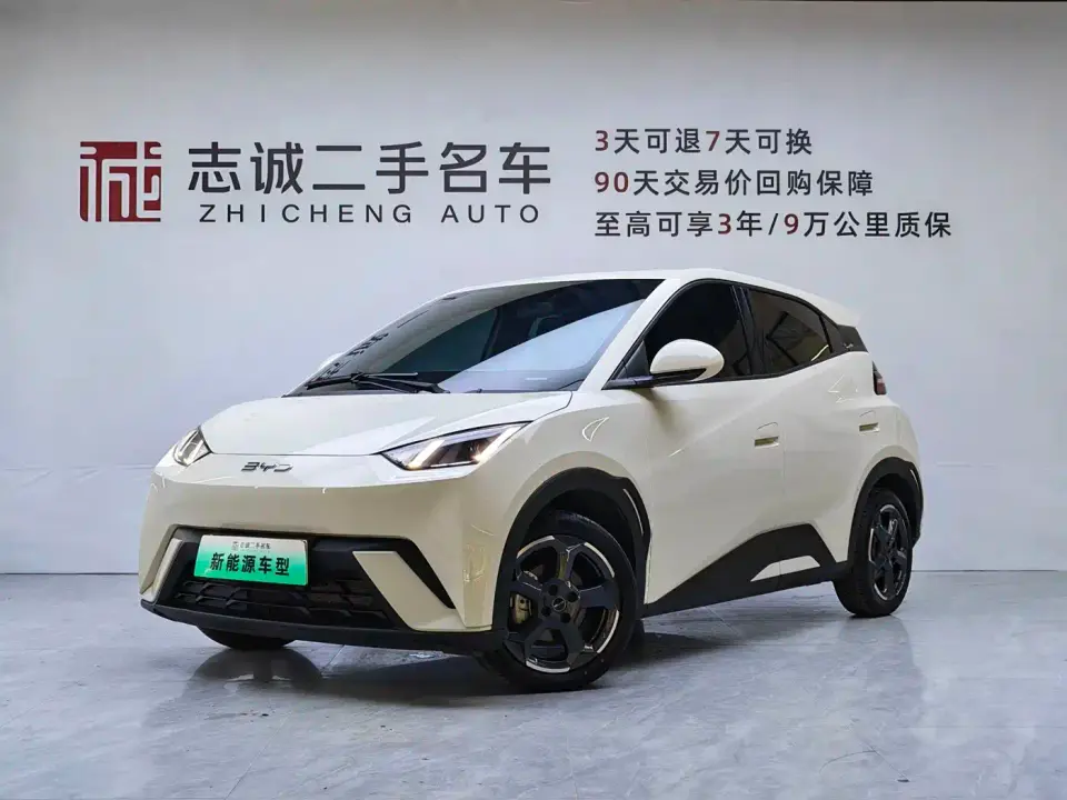 BYD Seagull Glory Edition 305km Freedom Edition 2024