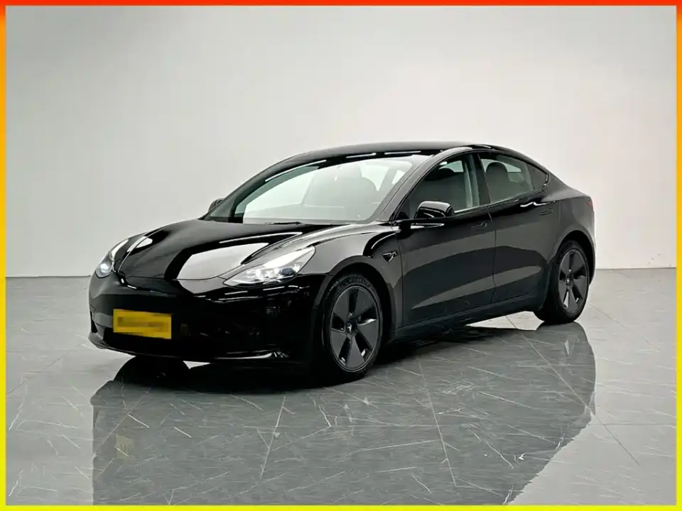 Tesla Model 3 Model Rear-Wheel Drive Version 2022
