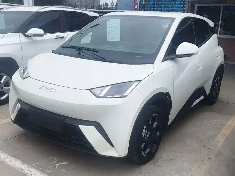 BYD Seagull 305km Freedom 2025