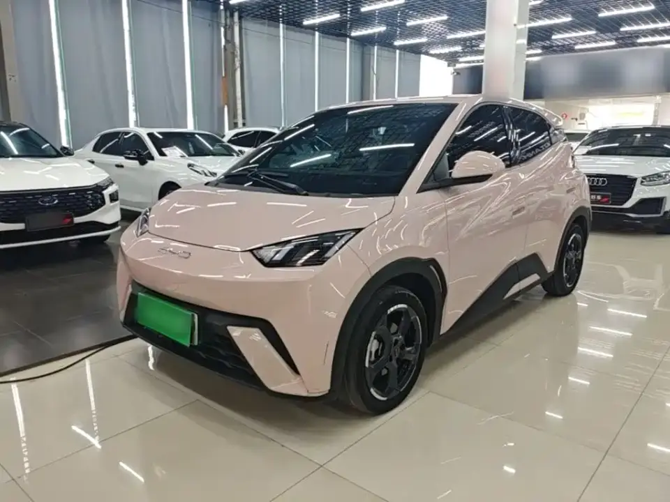 BYD Seagull Freedom Edition 2024