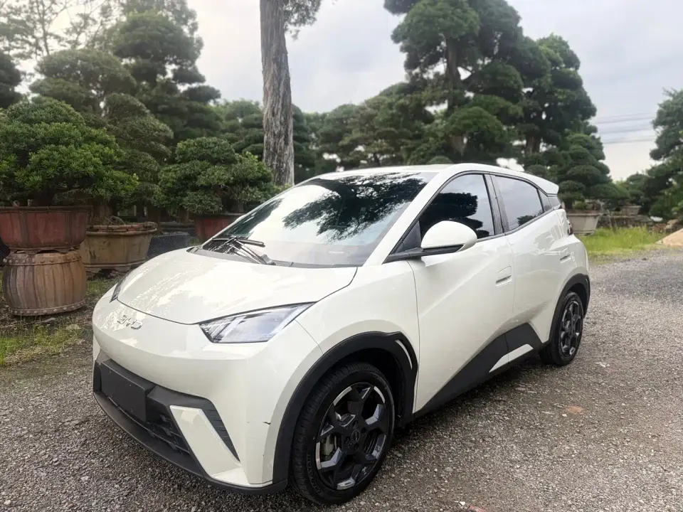 BYD Seagull Glory Edition 305km Freedom Edition 2024