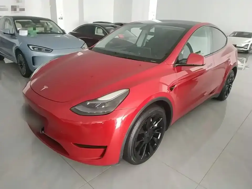 Tesla Model Y Rear-Wheel Drive Version 2022