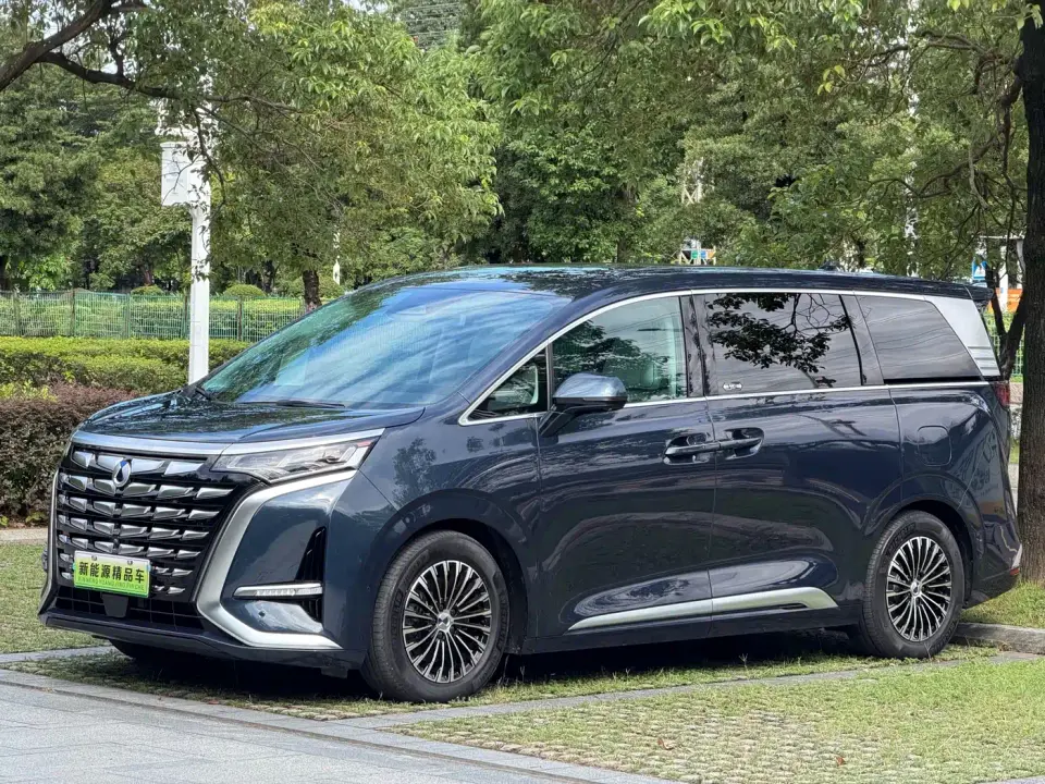 Denza D9 DM-i 980 AWD Flagship 2024