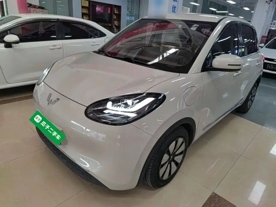 Wuling Motors Wuling Bingo 333km Joyful Version 2024