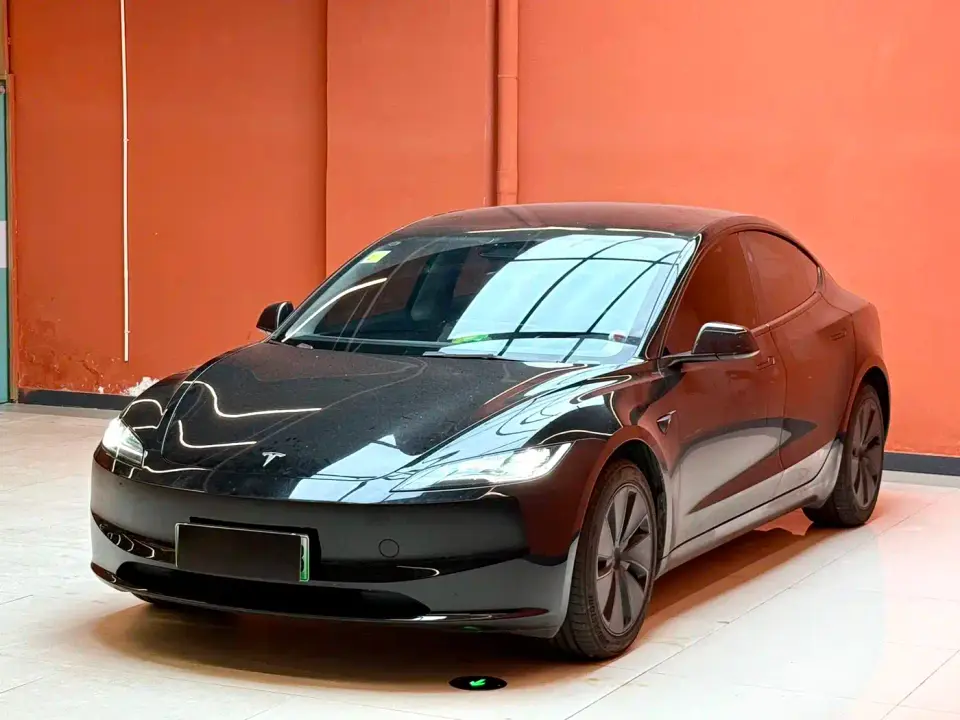Tesla Model 3 Model Rear-Wheel Drive Edition 2025