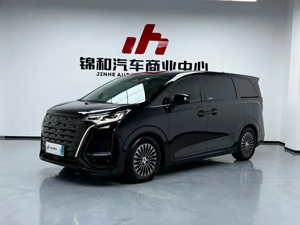 Denza D9 DM-i 980 AWD Premium 2024