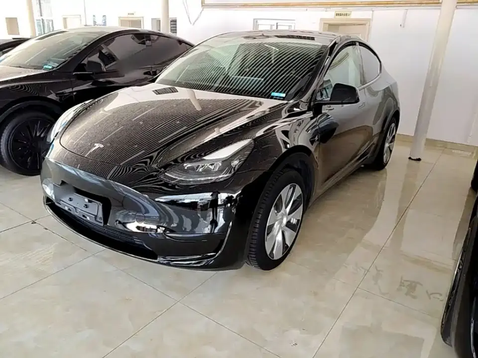 Tesla Model Y Rear-Wheel Drive Version 2022