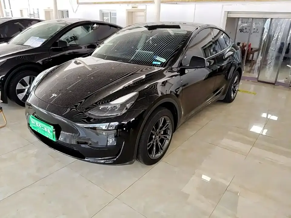 Tesla Model Y Rear-Wheel Drive Edition 2024