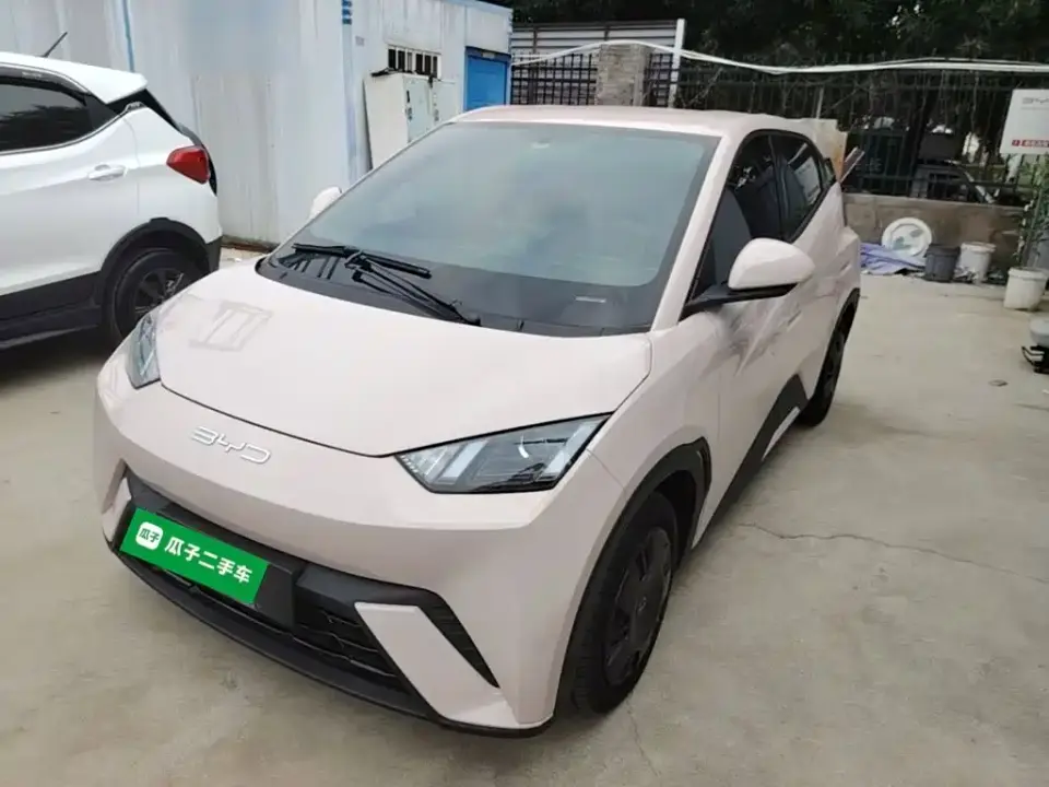 BYD Seagull Vitality Edition 2024