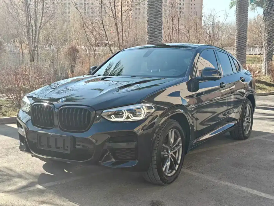 BMW X4 xDrive25i M Sport Package 2020