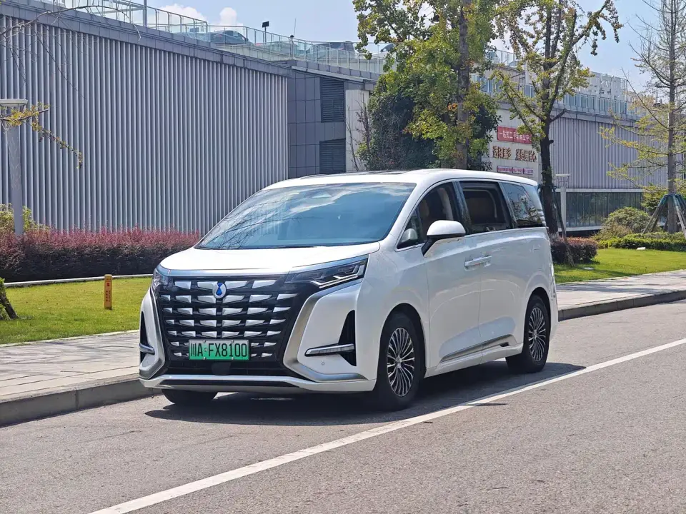 Denza D9 DM-i 1050 Premium 2024