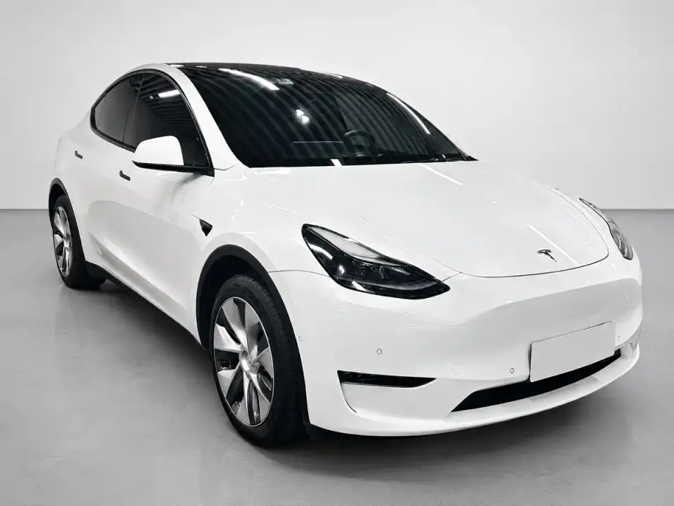 Tesla Model Y Standard Range Rear-Wheel Drive 2021