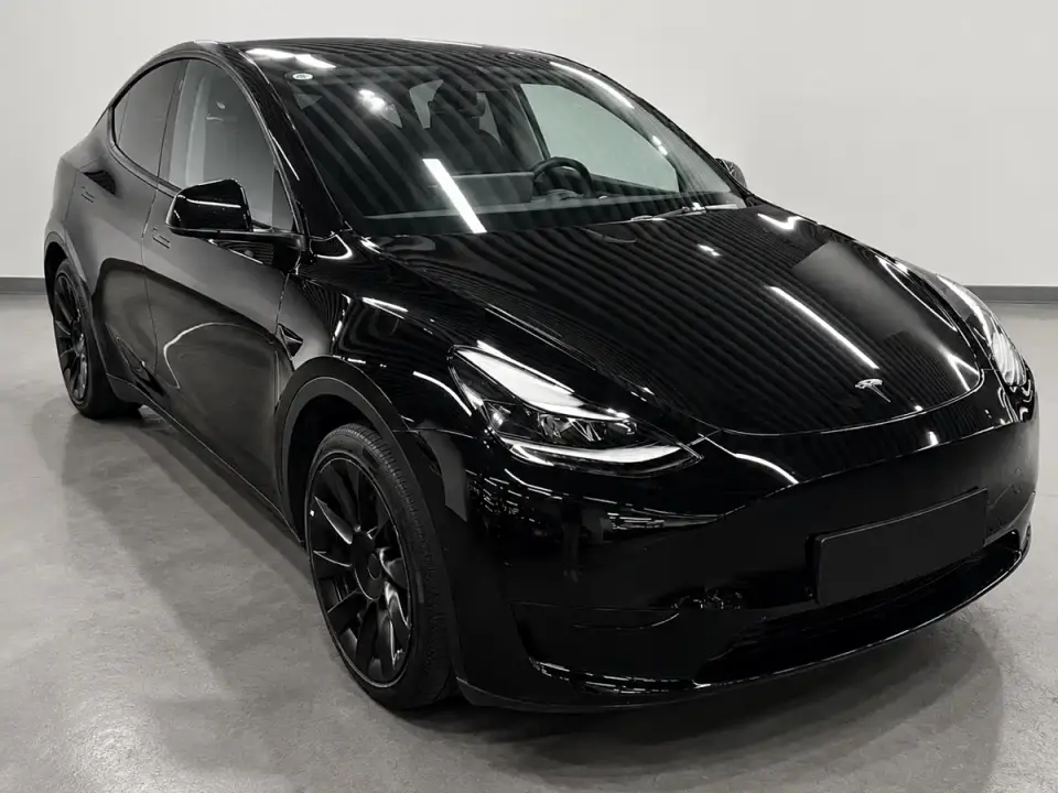 Tesla Model Y Rear-Wheel Drive Version 2022