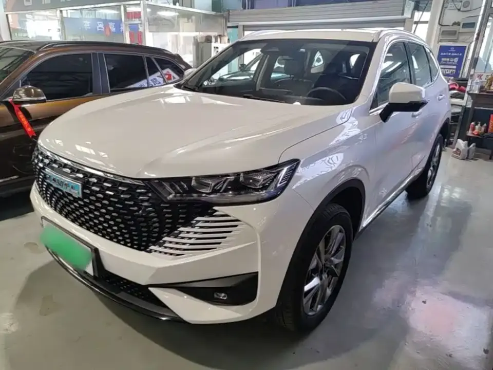 Haval H6 New Energy DHT-PHEV 55KM Joy Ride Edition 2022