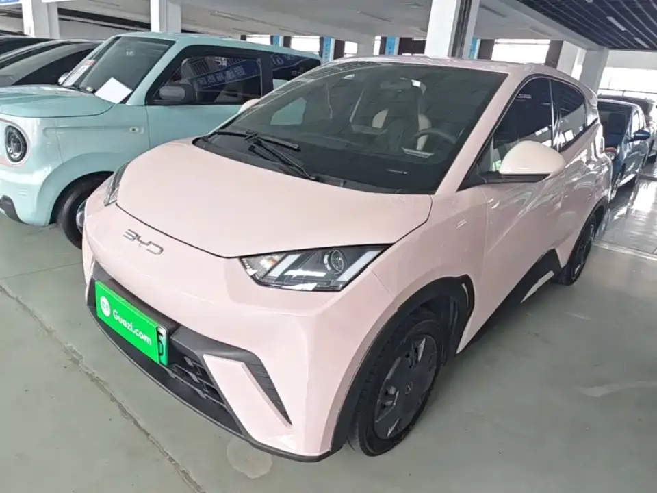 BYD Seagull Vitality Edition 2024