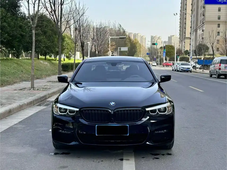 BMW 5 Series 530Li Leading M Sport Package 2019