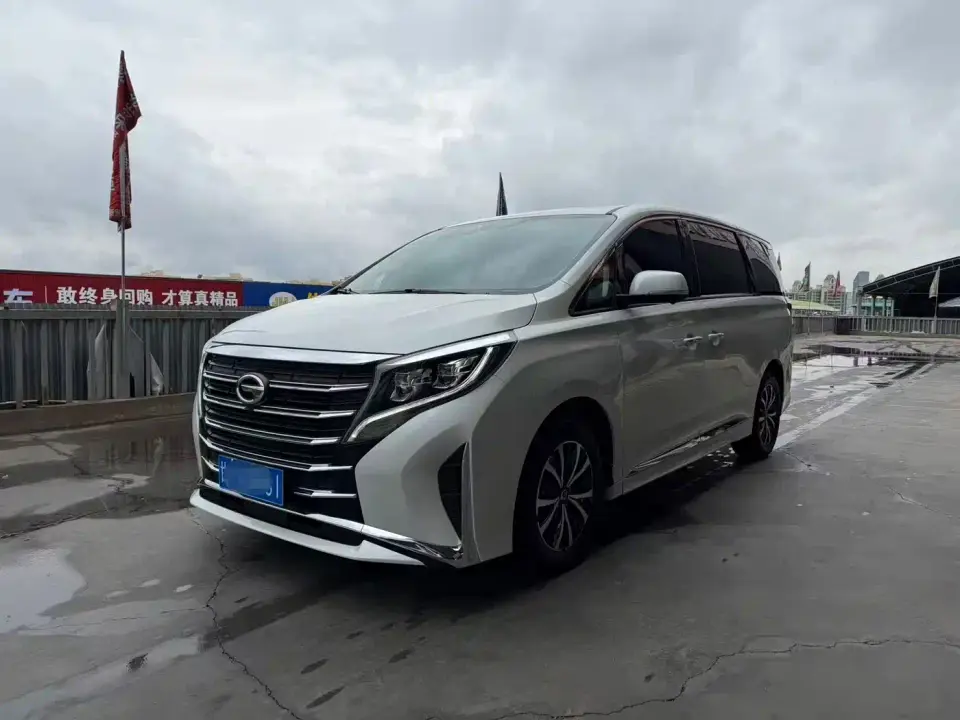 GAC Trumpchi M8 Leading Series 390T Premium Edition 2024