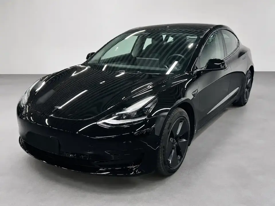 Tesla Model 3 Model Rear-Wheel Drive Version 2022