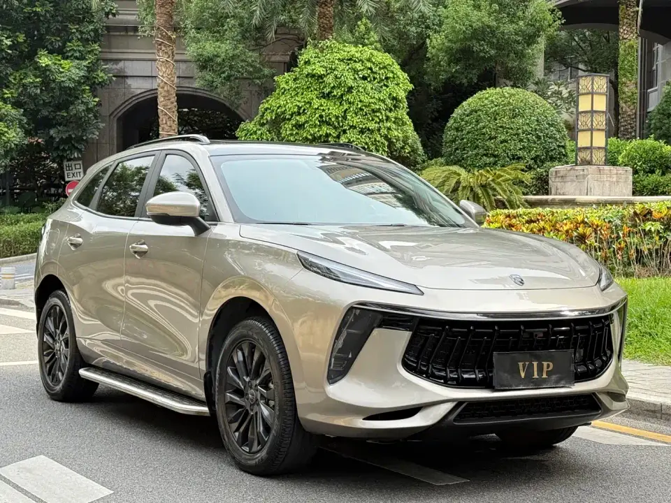Dongfeng Fengxing Fengxing T5 EVO 1.5TD DCT Platinum Edition 2021