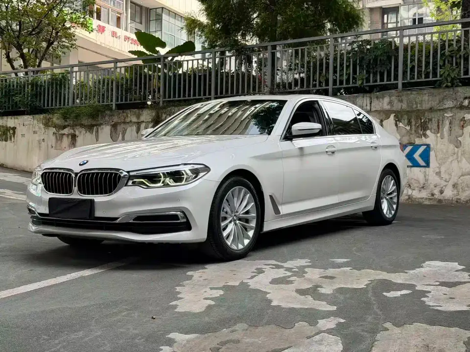 BMW 5 Series 530Li Leading Luxury Package 2020