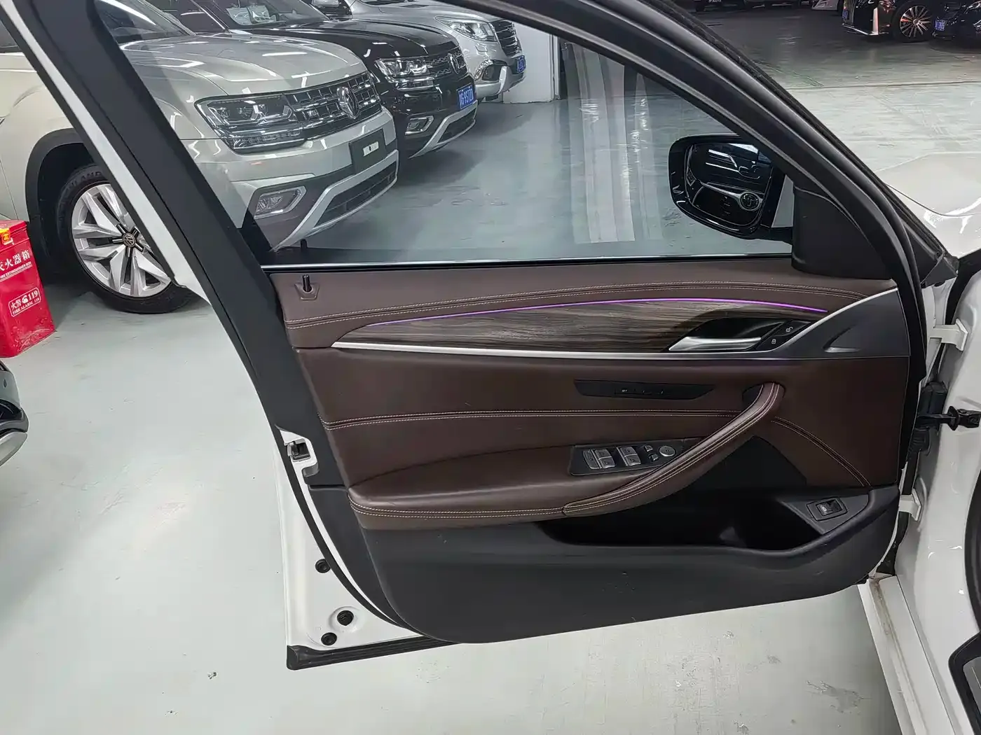 BMW 5 Series 530Li Leading Luxury Package 2020 — фото 11