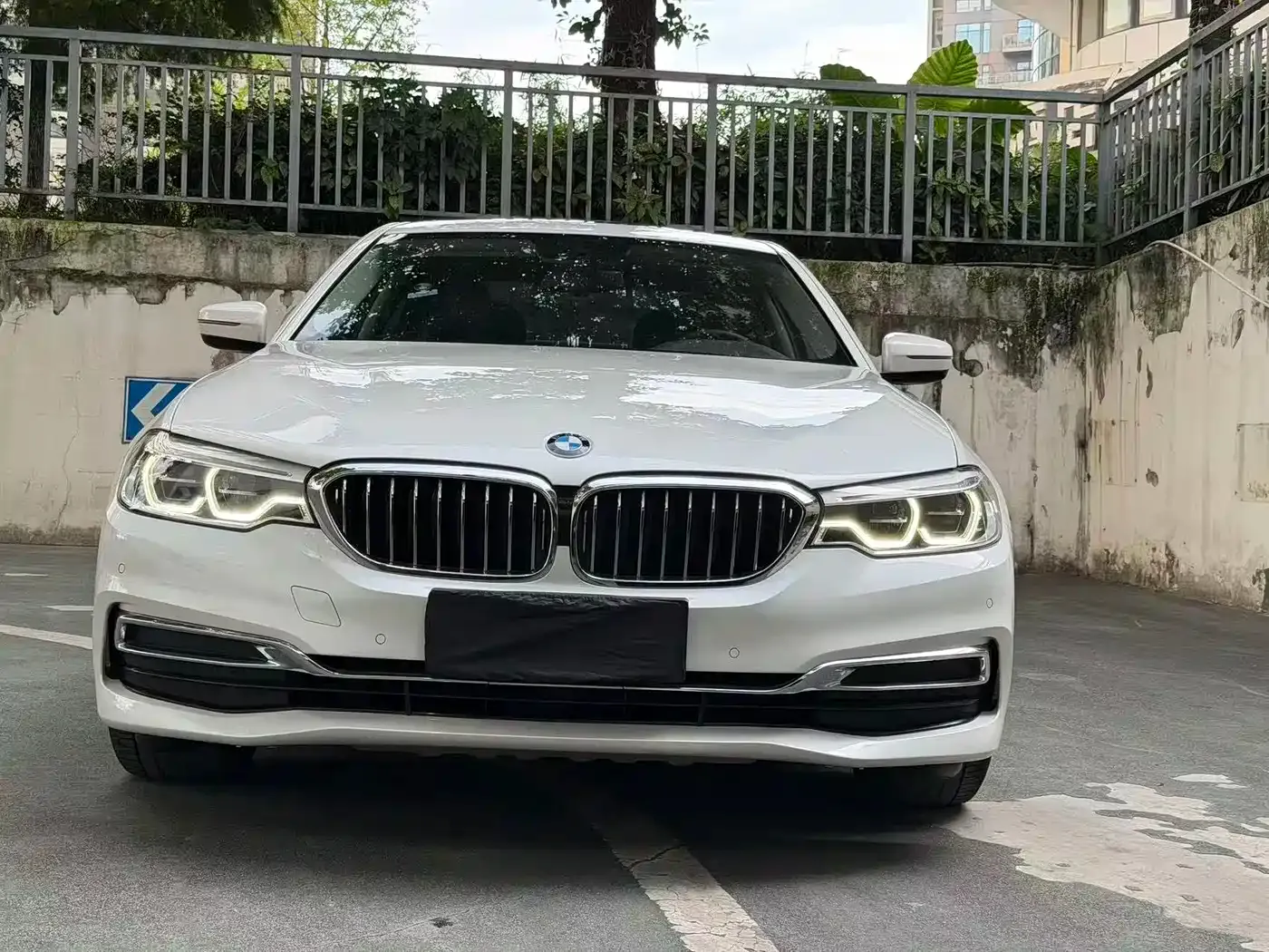 BMW 5 Series 530Li Leading Luxury Package 2020 — фото 2