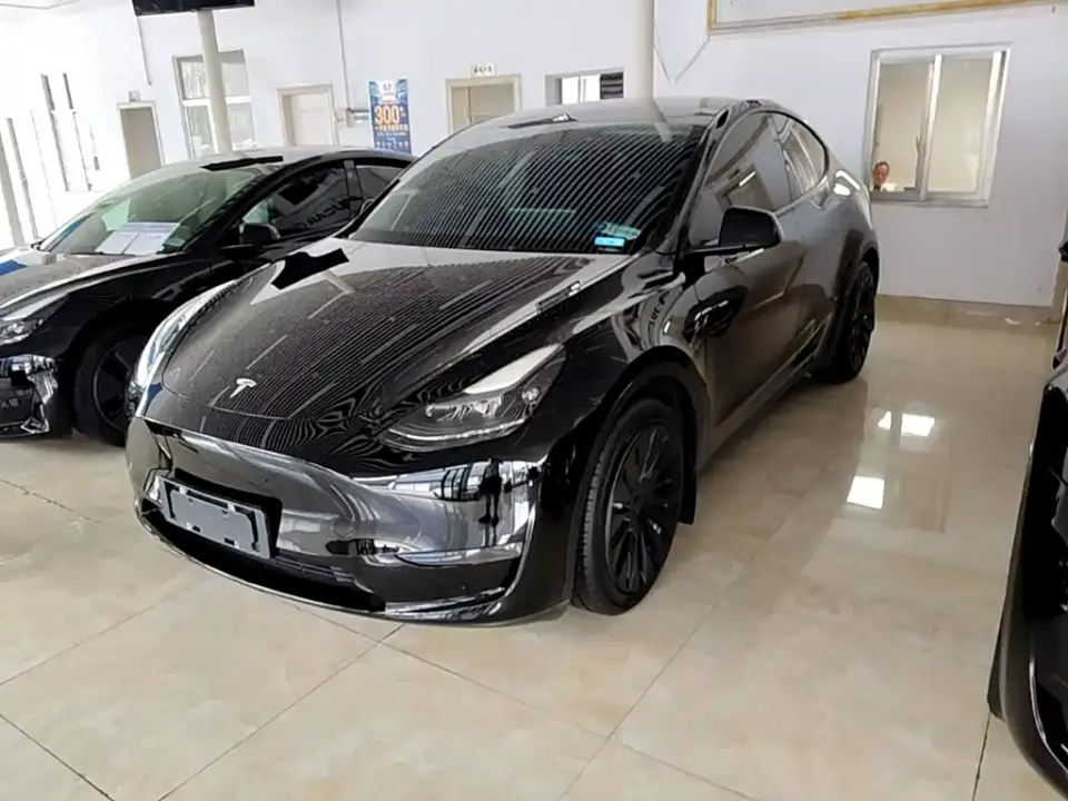 Tesla Model Y Standard Range Rear-Wheel Drive 2021