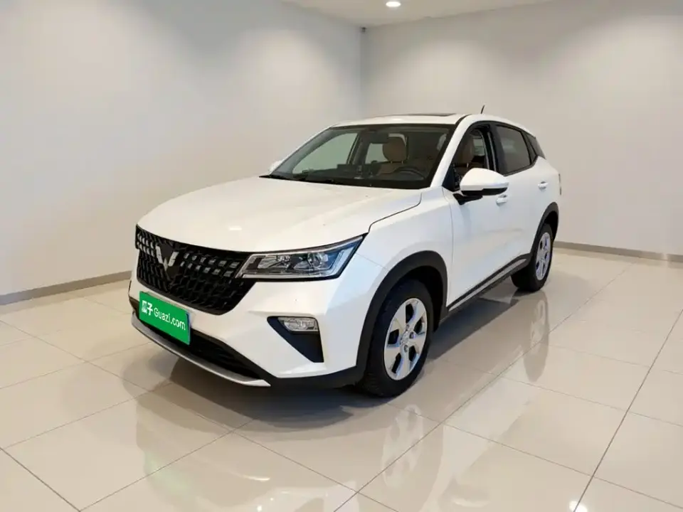 Wuling Motors Wuling Xingchi 1.5L Manual Freedom Edition 2023